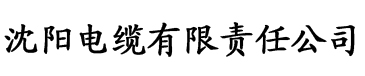 成版人抖音食色电缆厂logo